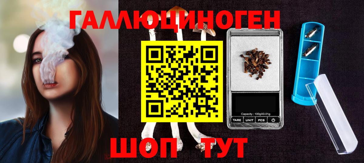 Псилоцибиновые грибы Magic Shrooms  магазин  наркотиков  Унеча  Псилоцибиновые грибы ЛСД  Вход с VPN 